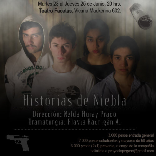 Historias de niebla, de Flavia Radrigán