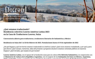 ¿Qué estamos traduciendo?