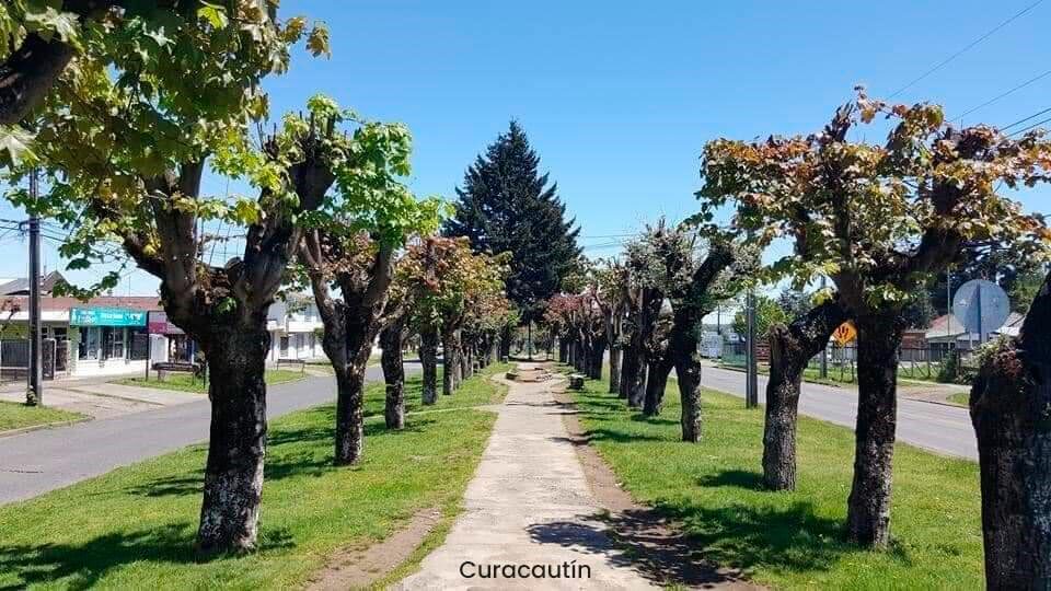 CRÓNICA DE CURACAUTÍN