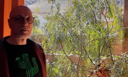 Poemas de Rolando Revagliatti
