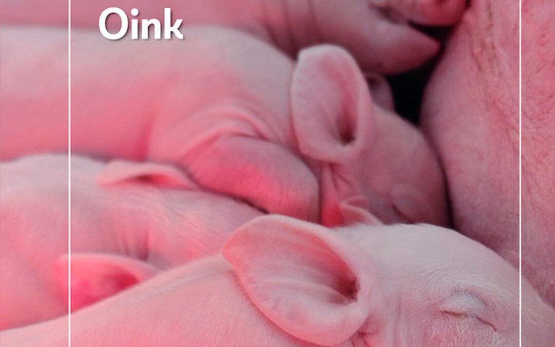 “Oink”, una vuelta de tuerca a la realidad de nuestras sociedades