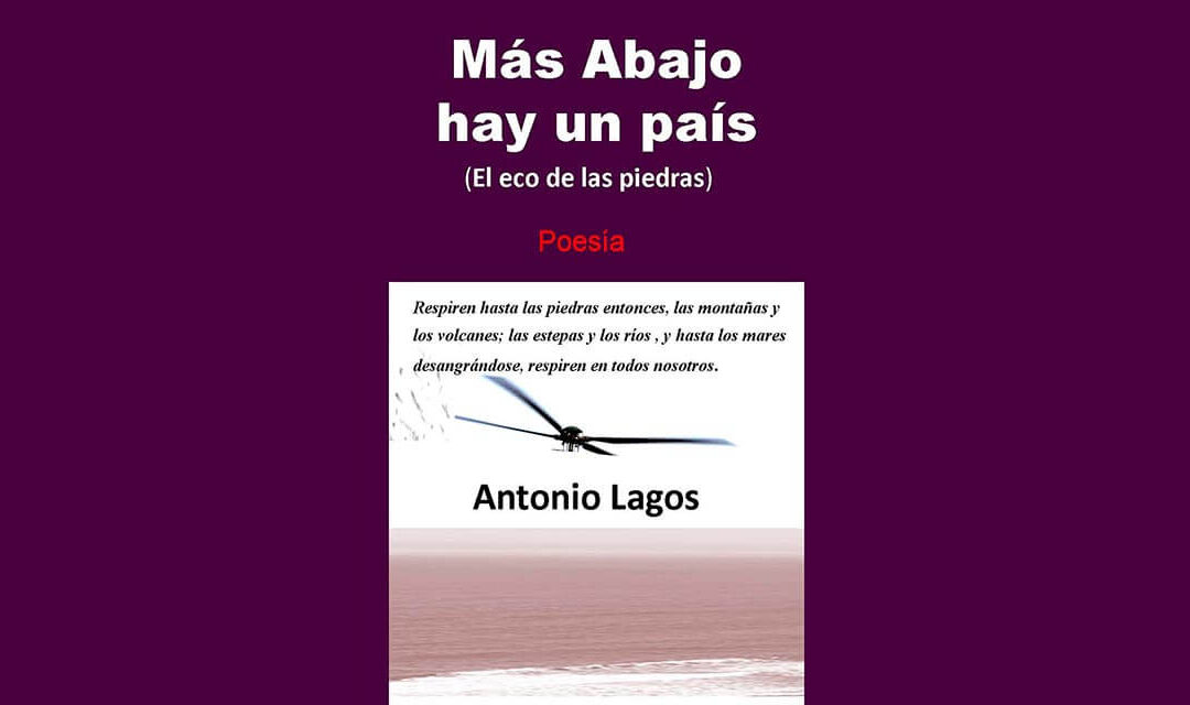 LA VIDA ES UNA HERIDA DONDE NADIE HA VUELTO A ENTRAR