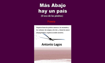 LA VIDA ES UNA HERIDA DONDE NADIE HA VUELTO A ENTRAR